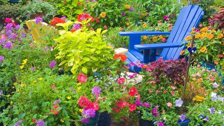Adirondack chairs tucked into a vibrant flower garden