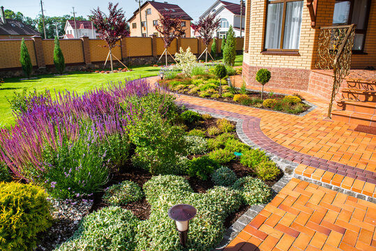 Brick front walkway lined with purple salvia