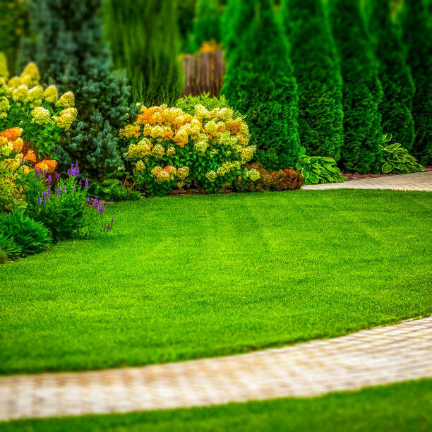 Manicured lawn wrapped by a stone path and hydrangeas